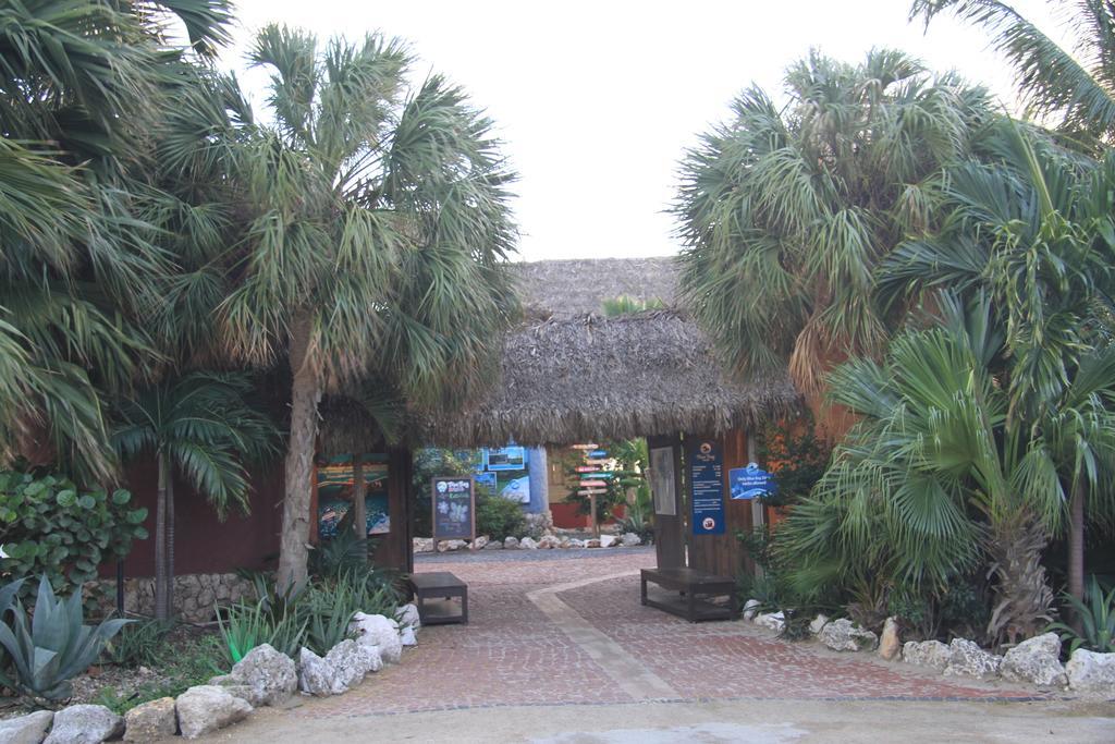 Blue Bay Golf En Beach, Dushi Na Kas, Villa 36 Exterior photo